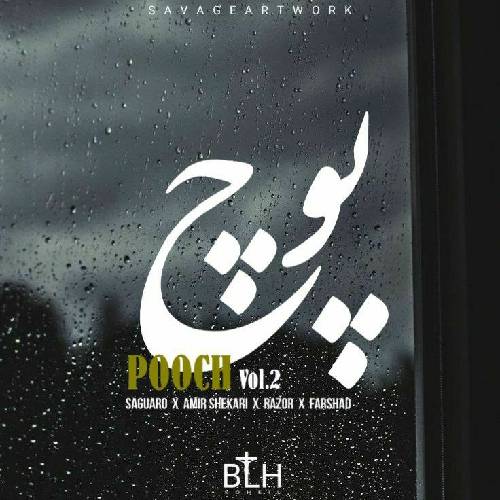 بی ال اچ پوچ 2